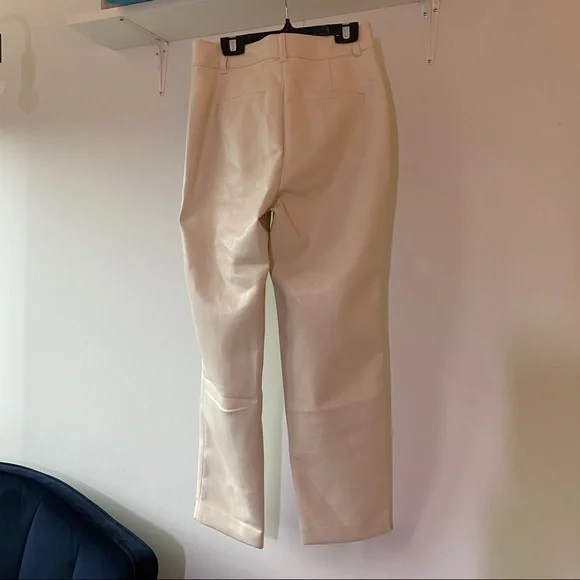 Aritzia Babaton Command Pants - Picture 8 of 16